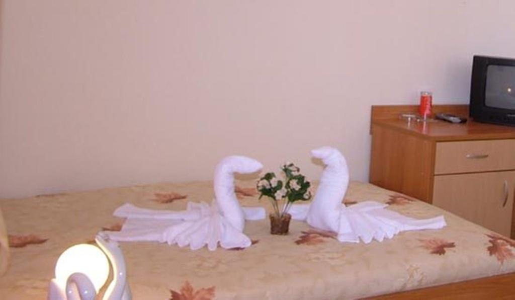 Family Hotel St. Constantine And Helena Ivaylovgrad Bagian luar foto